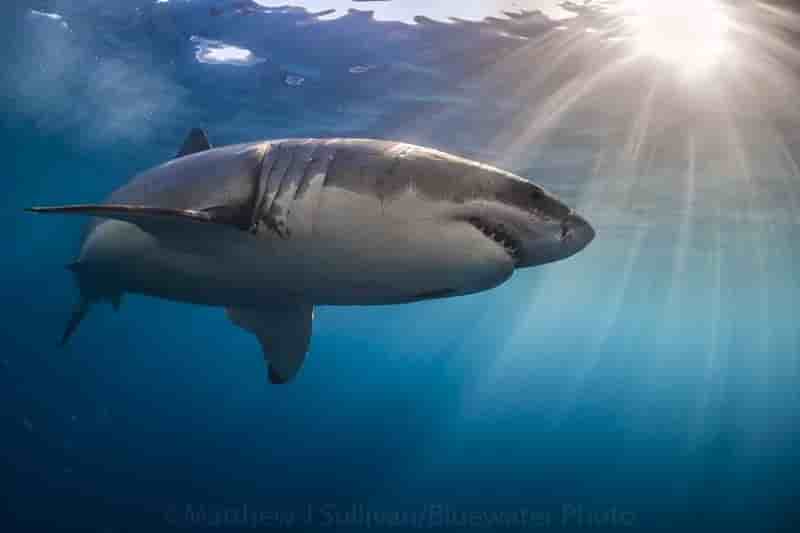 Thumbnail 2 Thumbnail 2