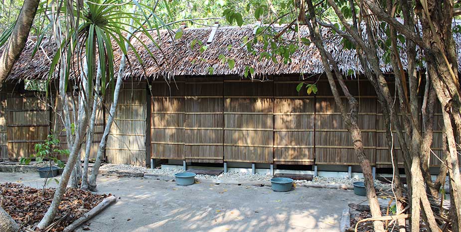 Kri Eco Resort Superior Cottage