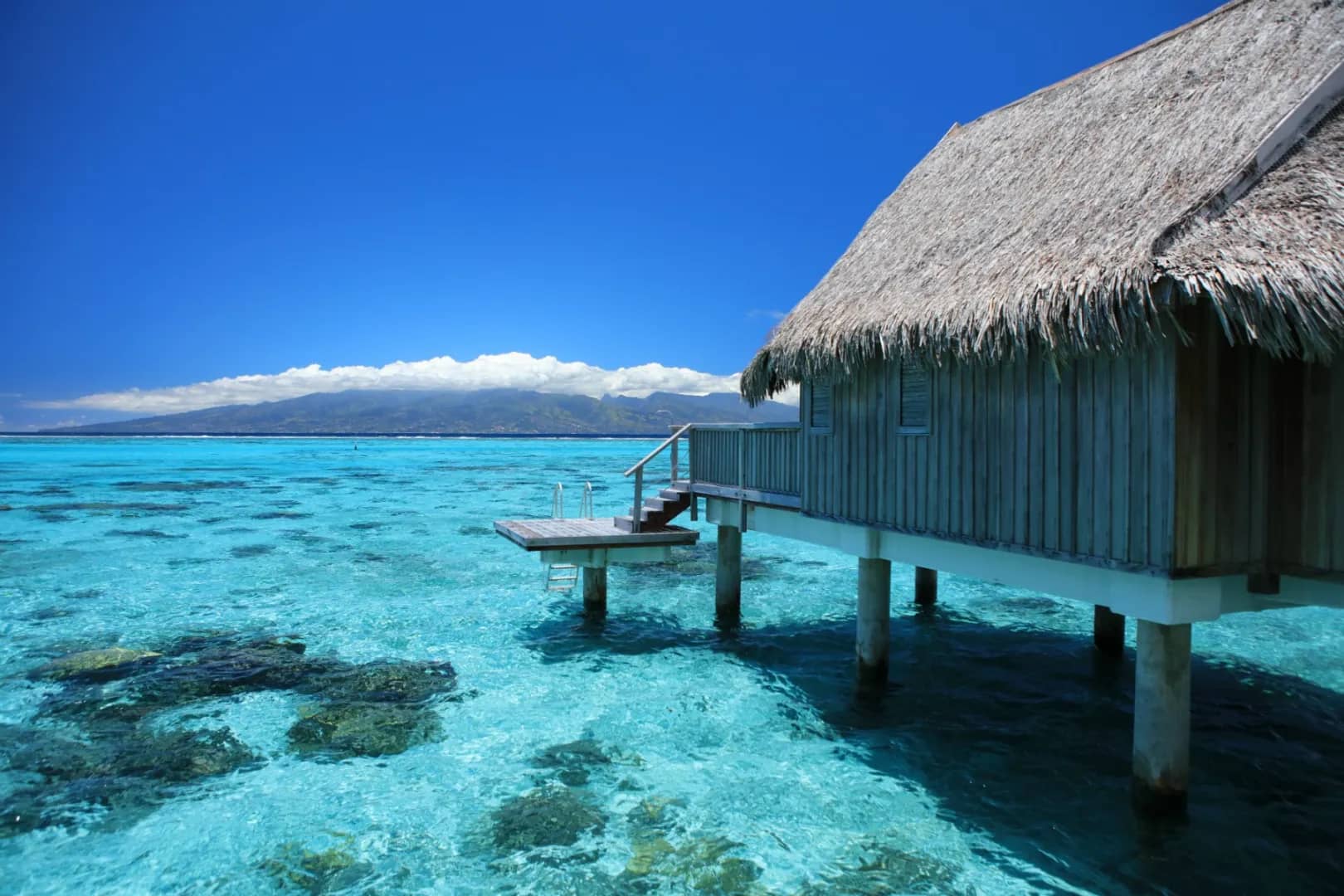 Luxury Horizon Overwater - image
