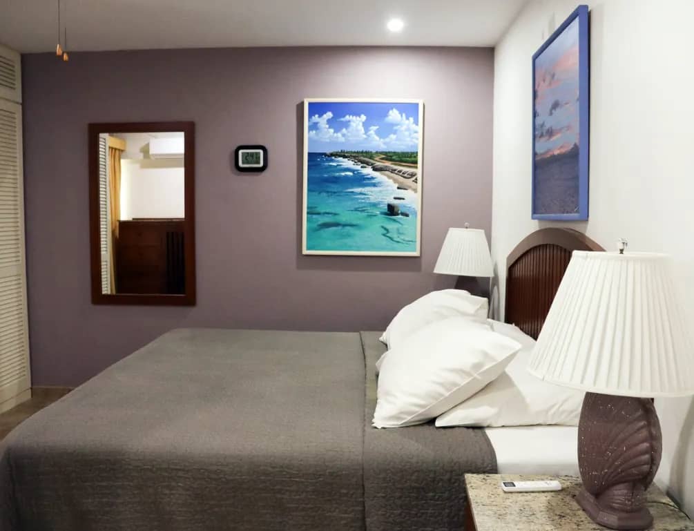 Classic Superior - image