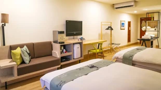 Standard Mountain View Room - image