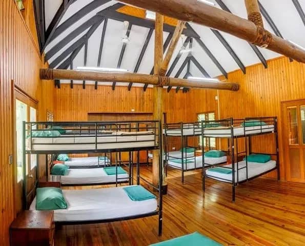 Treehouse Dormitory - image