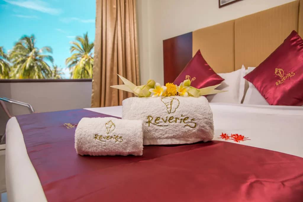 Deluxe Single Room - image