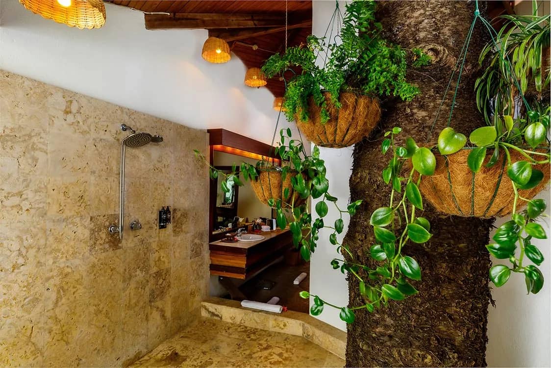 Hillside Deluxe Rooms - image