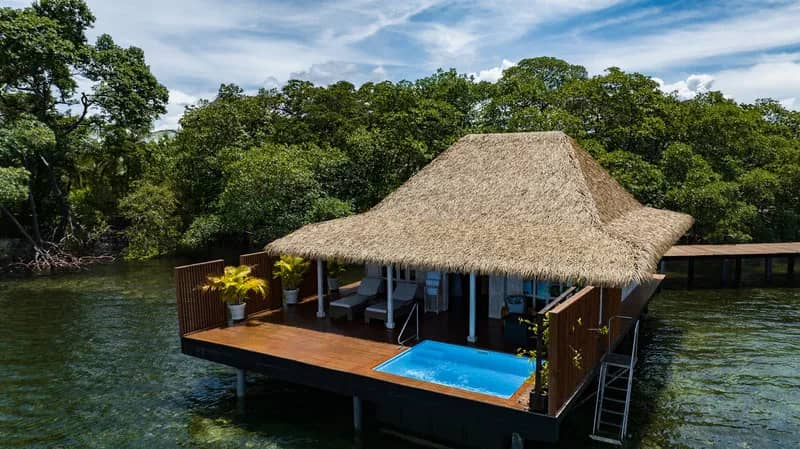 Overwater Pool Villa - image