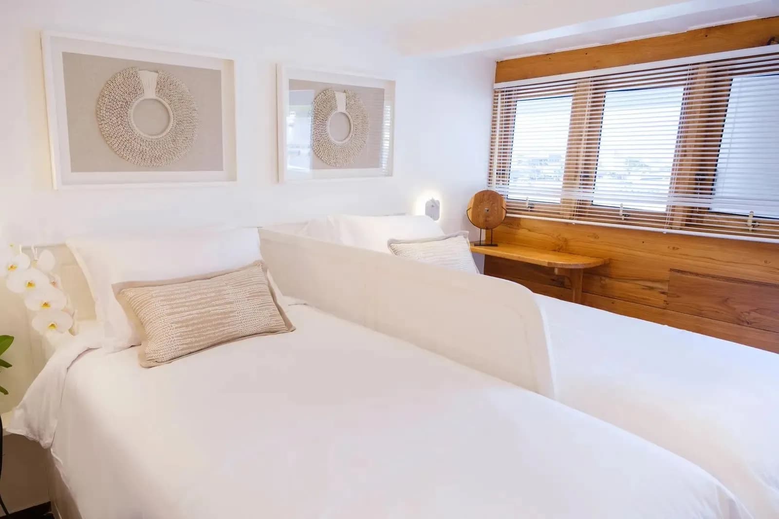 Oceanview Cabin with Window - image