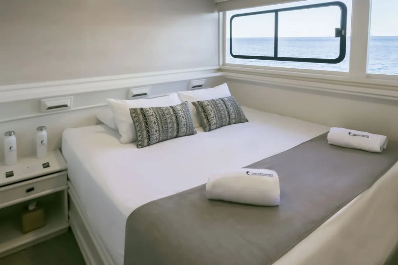 Master Upper Deck - image