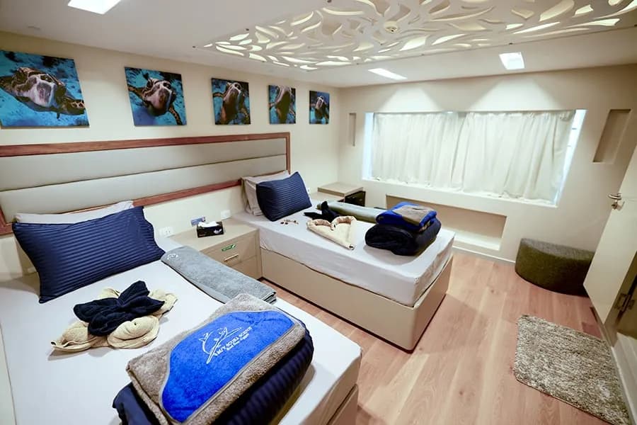 Twin Main Deck - image