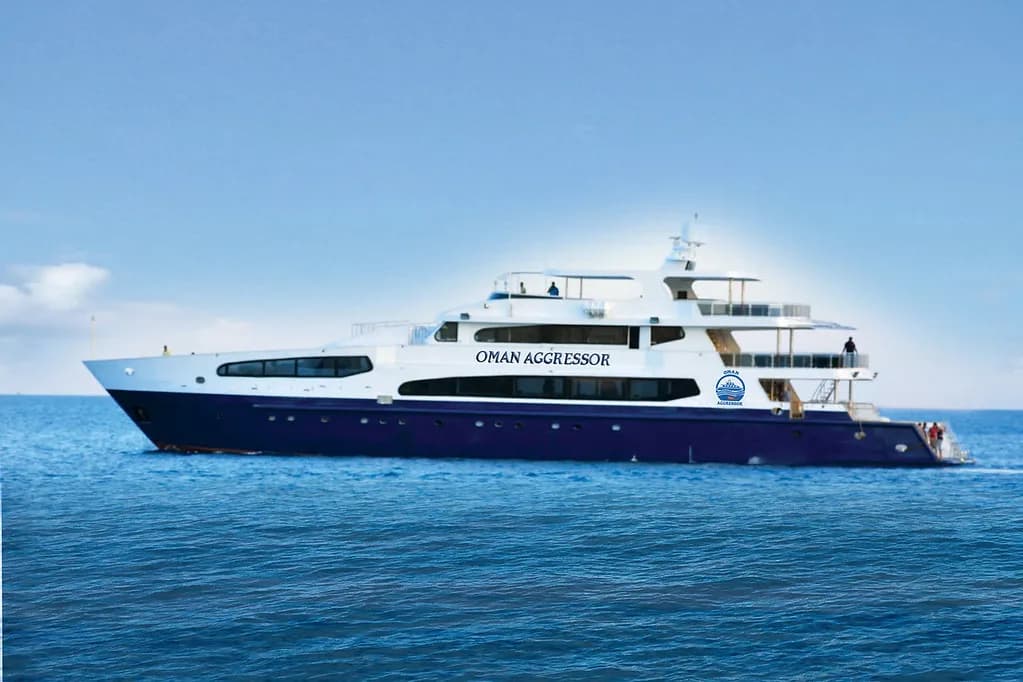 Meet the Aggressor Fleet - image