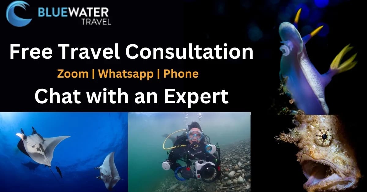 Book a Free Travel Consultation - image