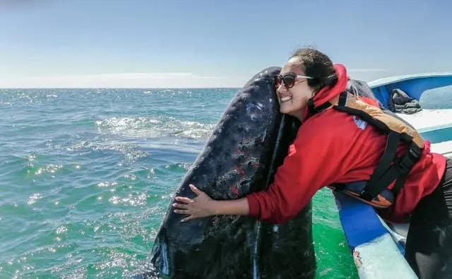 Socorro Trip Extensions