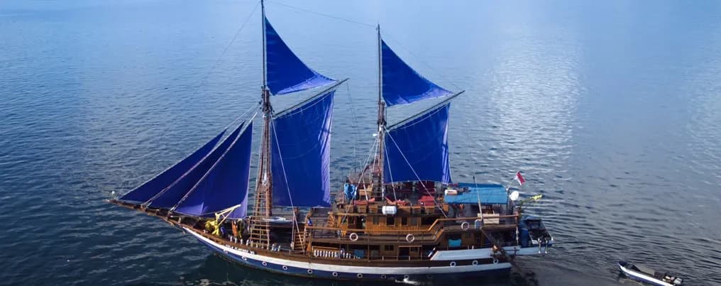 Sea Safari VI - image