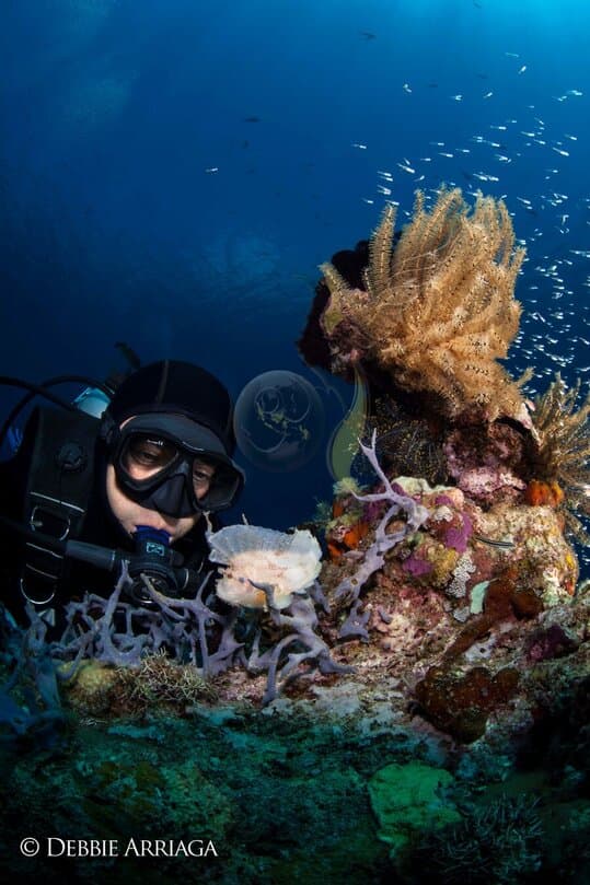 Arenui Liveaboard - image