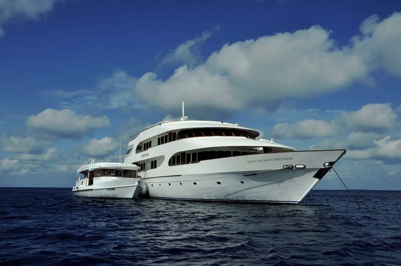 The Carpe Diem liveaboard in the Maldives.