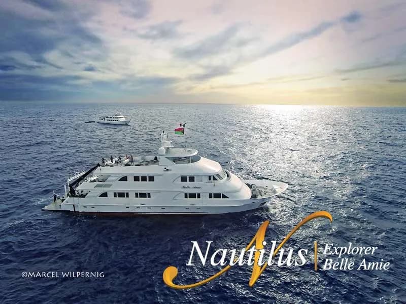 Nautilus Belle Amie Liveaboard