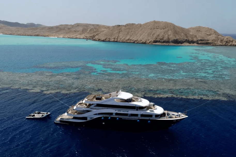 All Star Scuba Scene