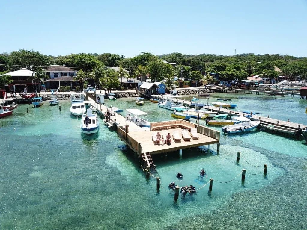 Splash Inn Dive Resort Roatan - image