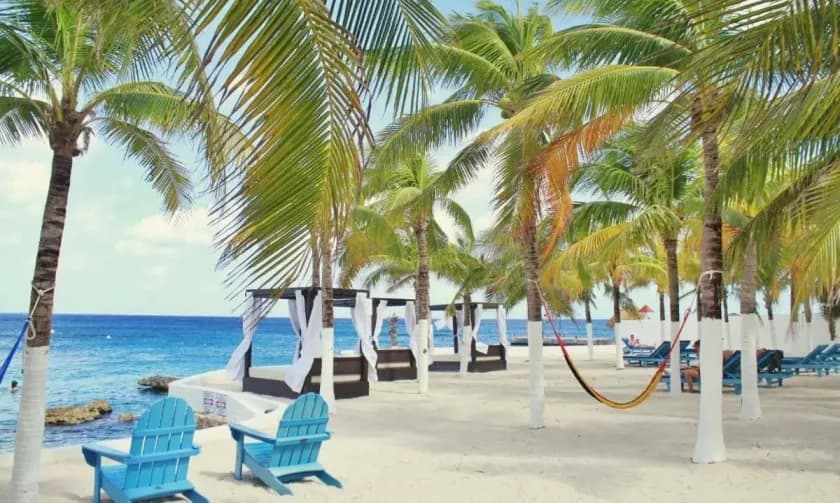 Beachfront area with the sun loungers and sun beds