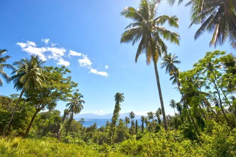 Two Fish Divers Bunaken