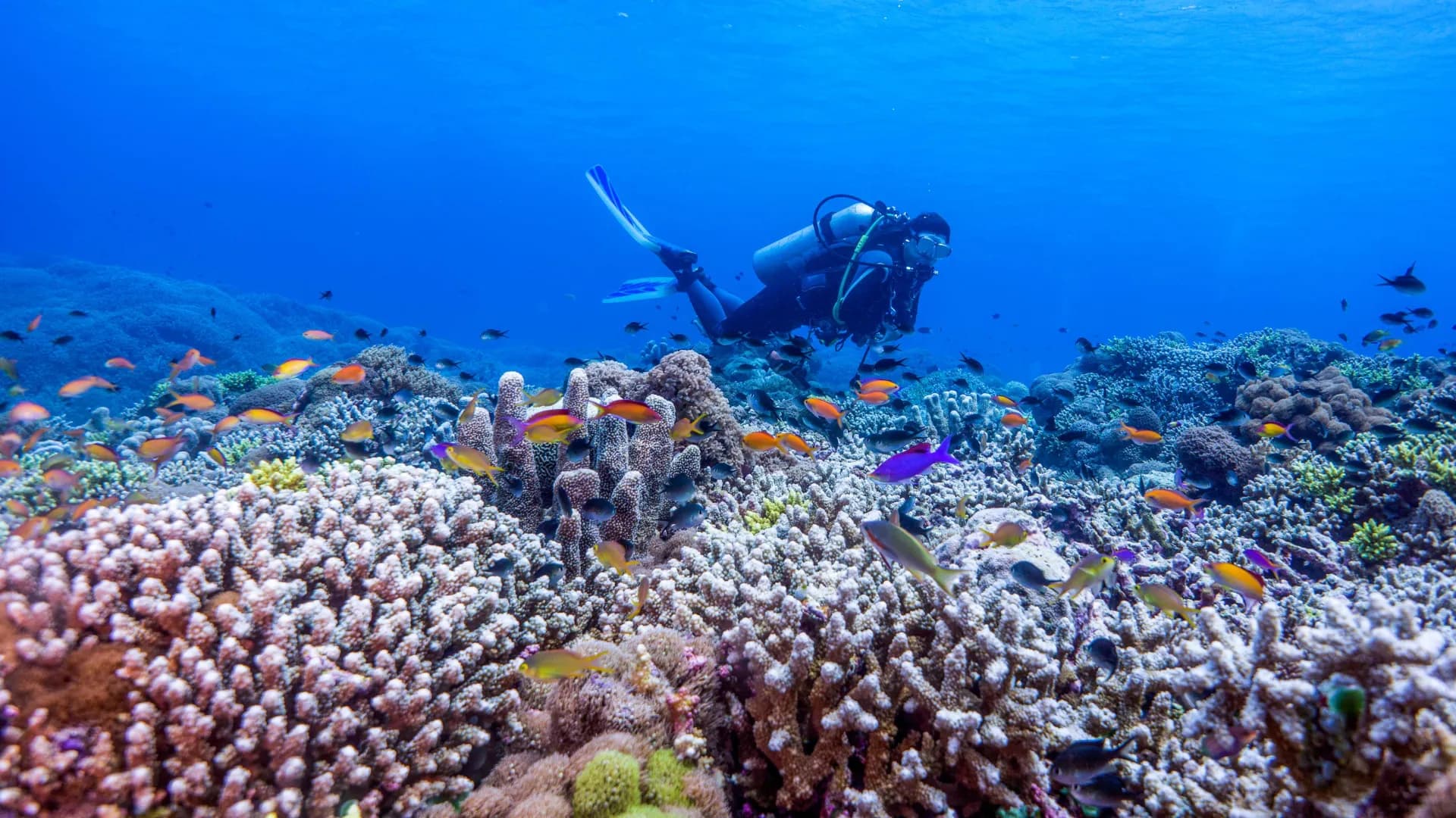 Caribbean Destinations