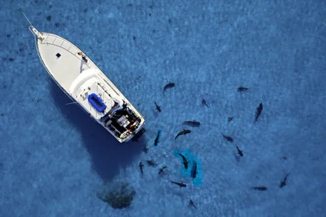 Jim Abernethy Special October 2025