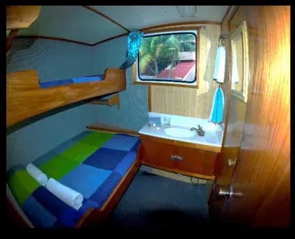 Double Cabins - image