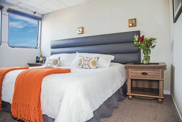 Exclusive: Socorro And Magdalena Bay Combo Trip 5% OFF