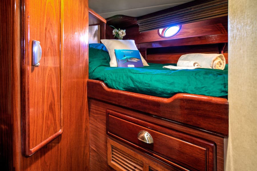 Single Stateroom Lower Deck - image