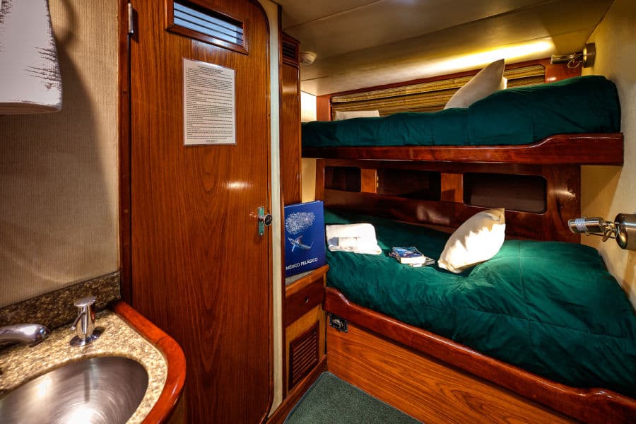 Standard Stateroom Lower Deck - image