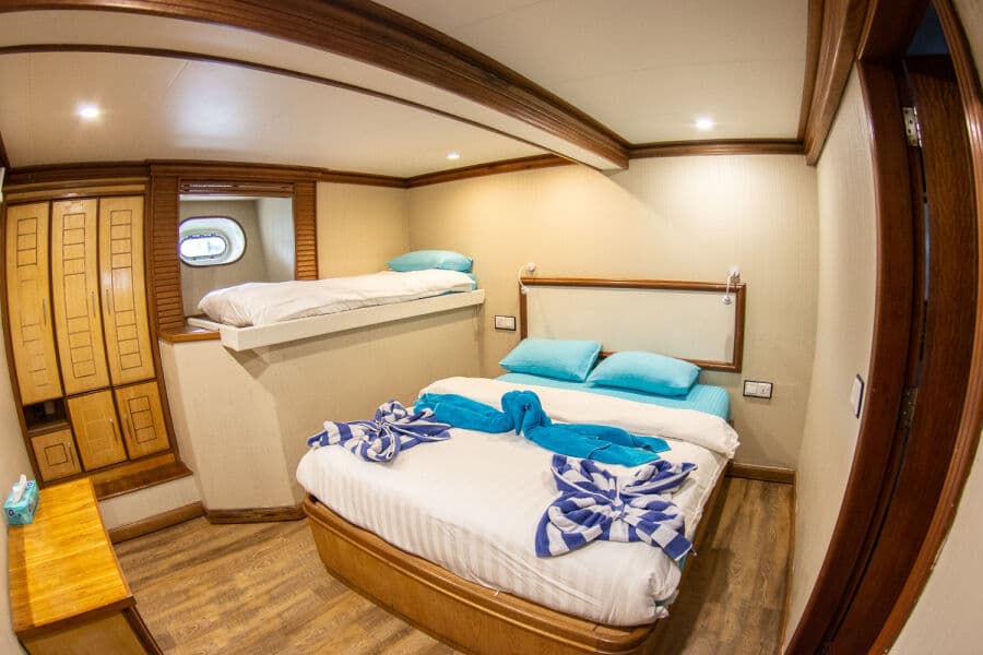 Double Lower Deck - image
