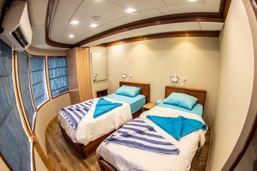 Twin Main Deck - image