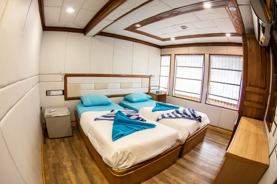 Twin Upper Deck - image