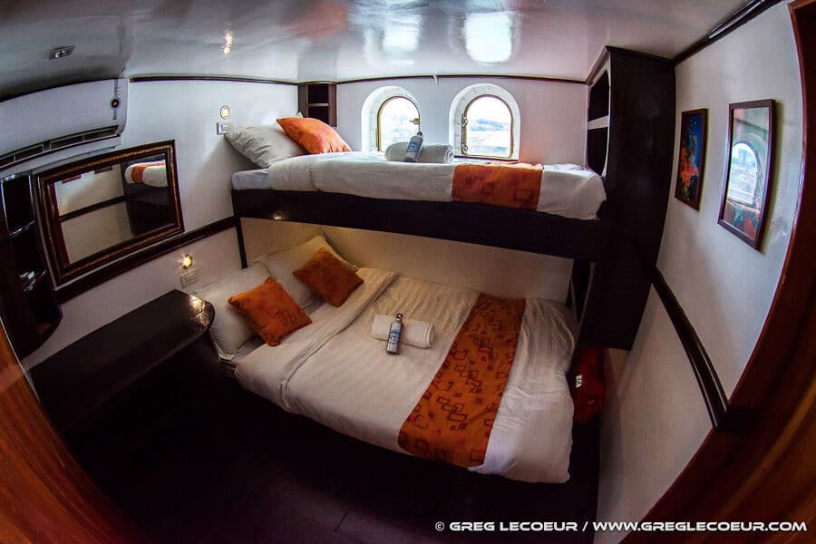 Standard First Deck Main Deck - image