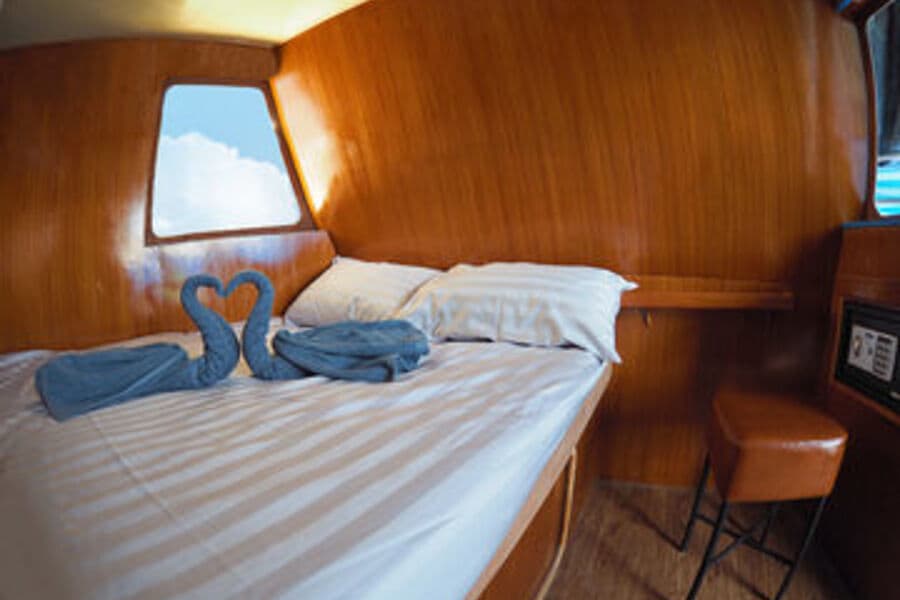 Deluxe Main Deck - image