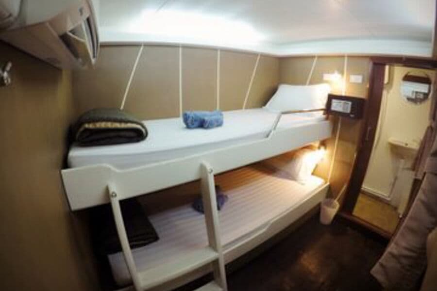 Standard Main Deck - image