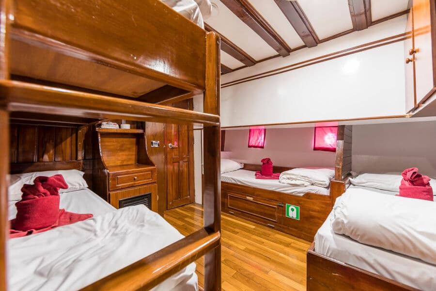 Classic Quad (Cabins 6 & 7) Lower Deck - image Classic Quad (Cabins 6 & 7) Lower Deck - image