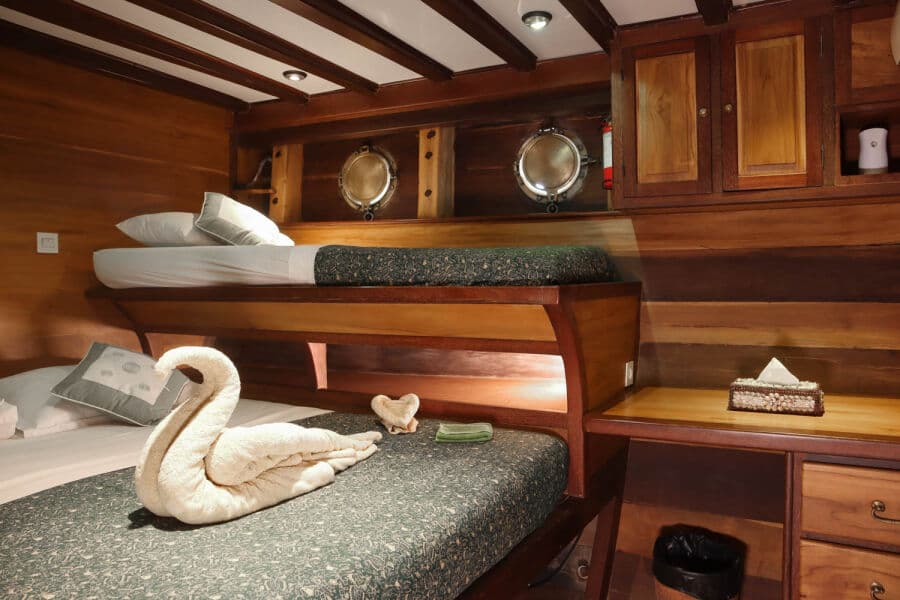 Deluxe Lower Deck - image