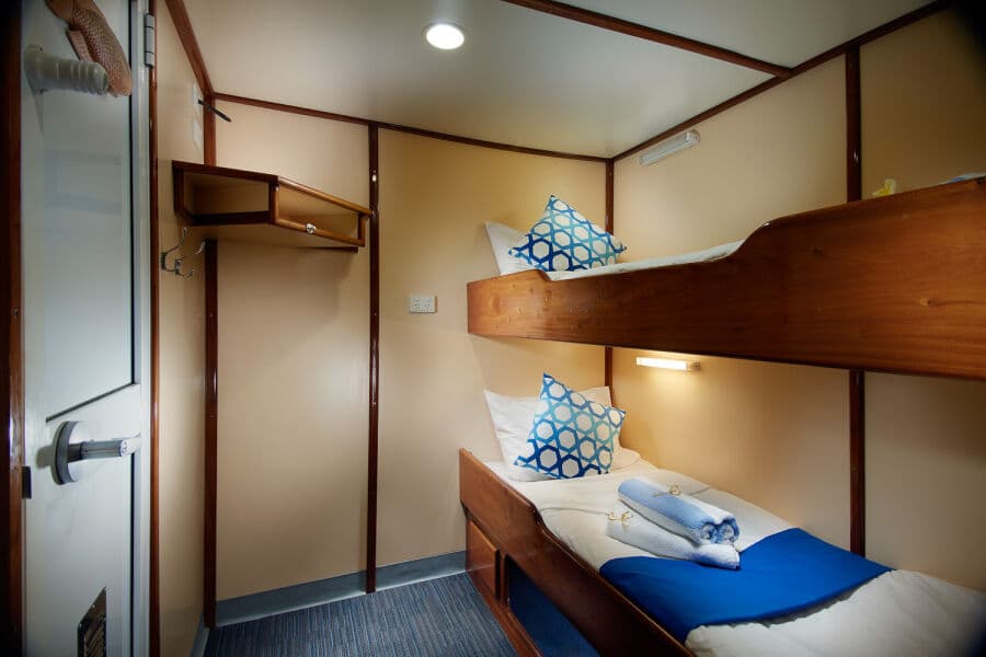 Classic Twin Upper Deck - image