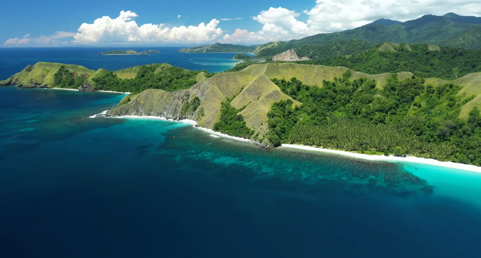 Tompotika Dive Lodge - image