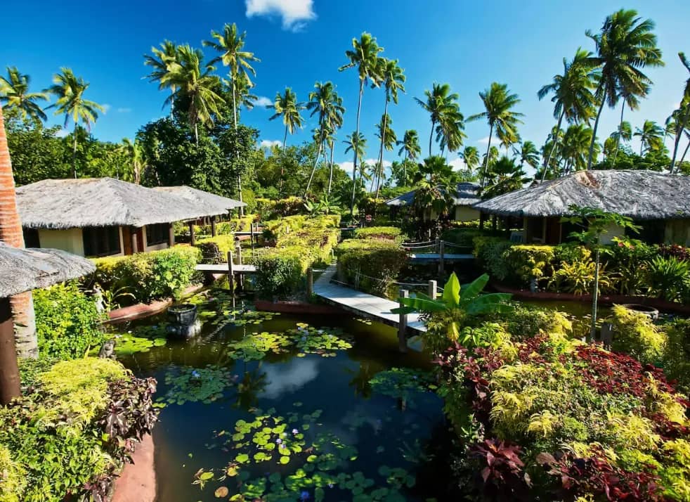 Koi Pond Bure - image Koi Pond Bure - image