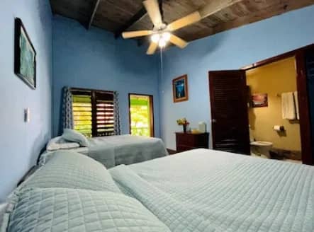 Reef House Room - image Reef House Room - image