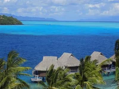 Ocean View Room - image Ocean View Room - image