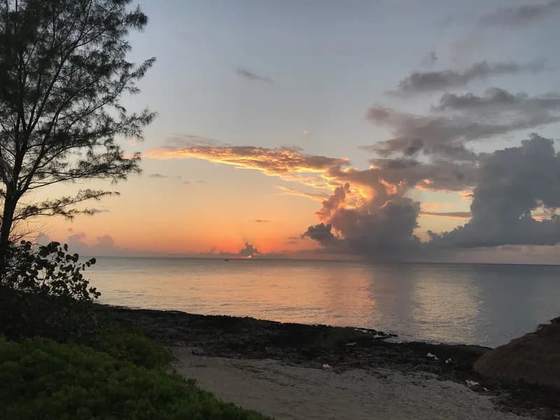 Grand Cayman Dive Report 2019 - image Grand Cayman Dive Report 2019 - image