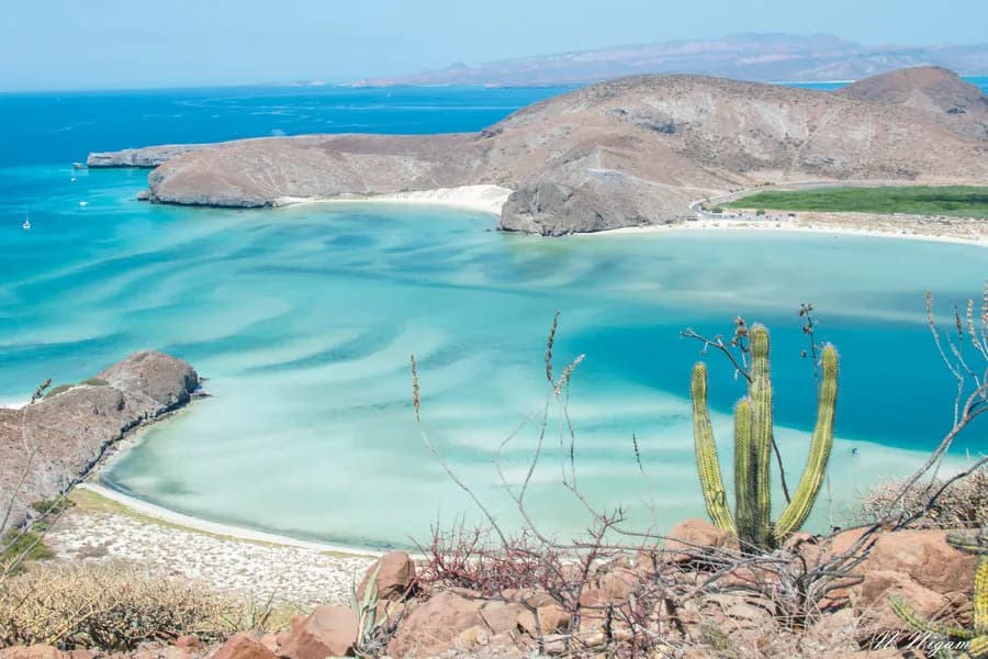 La Paz Trip Report 2020 - image La Paz Trip Report 2020 - image