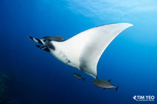 Eco Socorro May 2021 Recap Eco Socorro May 2021 Recap