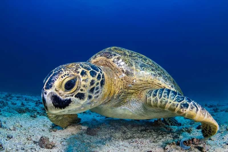 La Paz Trip Report 2021 - image La Paz Trip Report 2021 - image