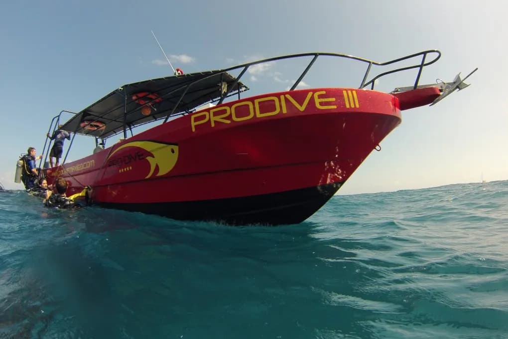 Meet Pro Dive International - image Meet Pro Dive International - image