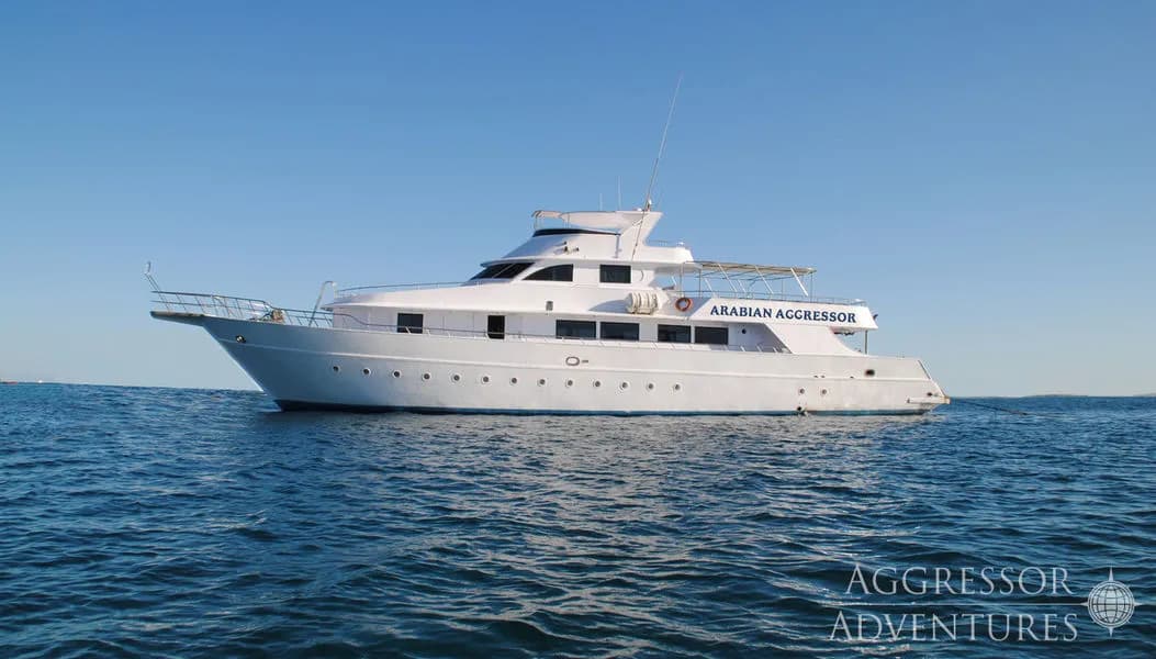 Arabian Aggressor: Liveaboard in Sudan and Djibouti - image Arabian Aggressor: Liveaboard in Sudan and Djibouti - image