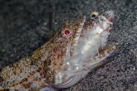 Inside a Photo Workshop Inside a Photo Workshop