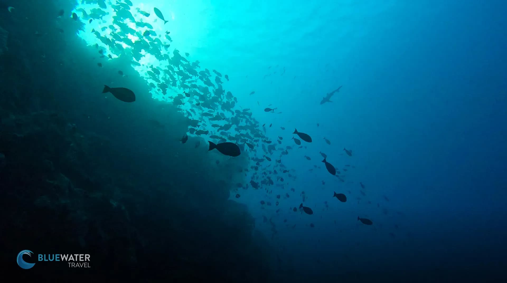 Exploring the Underwater Wonders of Tubbataha Reef - image Exploring the Underwater Wonders of Tubbataha Reef - image